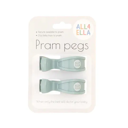 2 Pack Pegs Various Colours 4