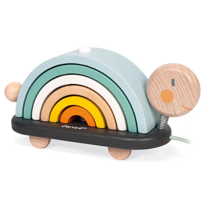 Cocoon Rainbow Turtle 1