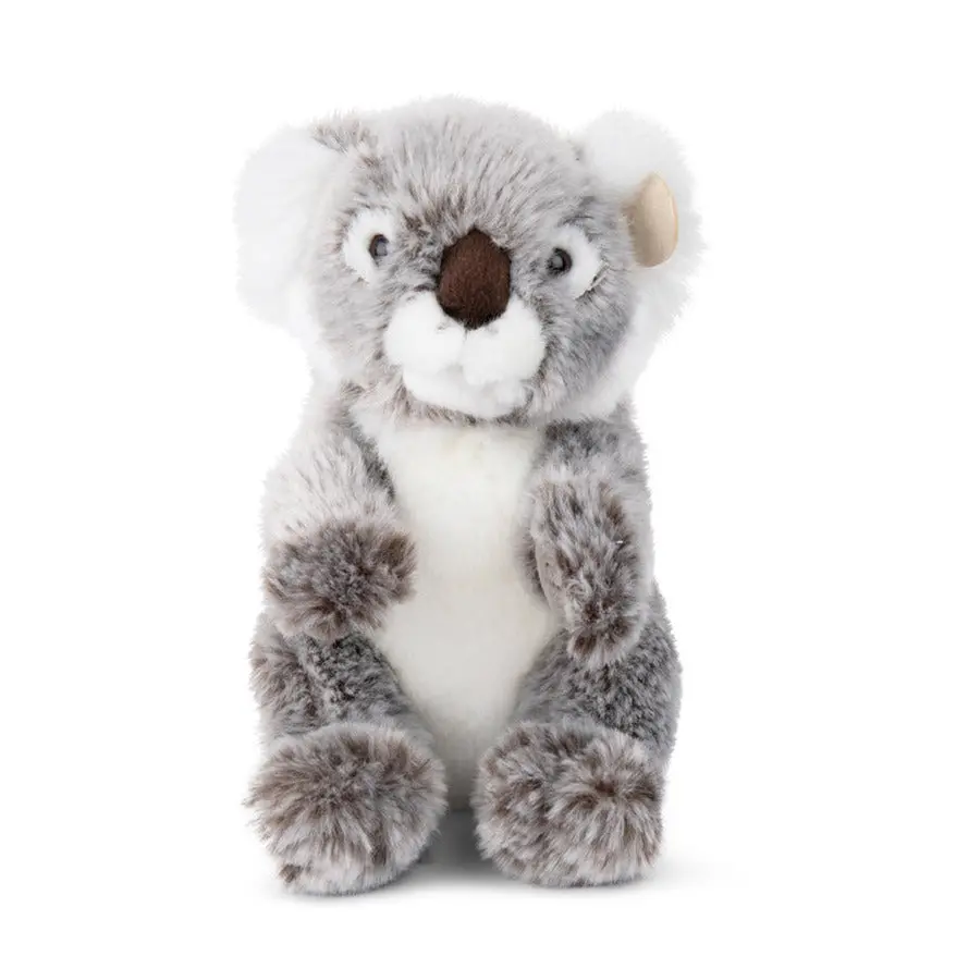 Koala Various Sizes 1