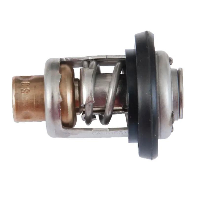 Sierra 18-3630 Thermostat 1
