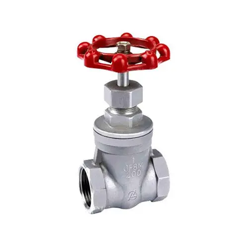 Petro Gate Valve Range - 316 Ss, Scr Bsp 1