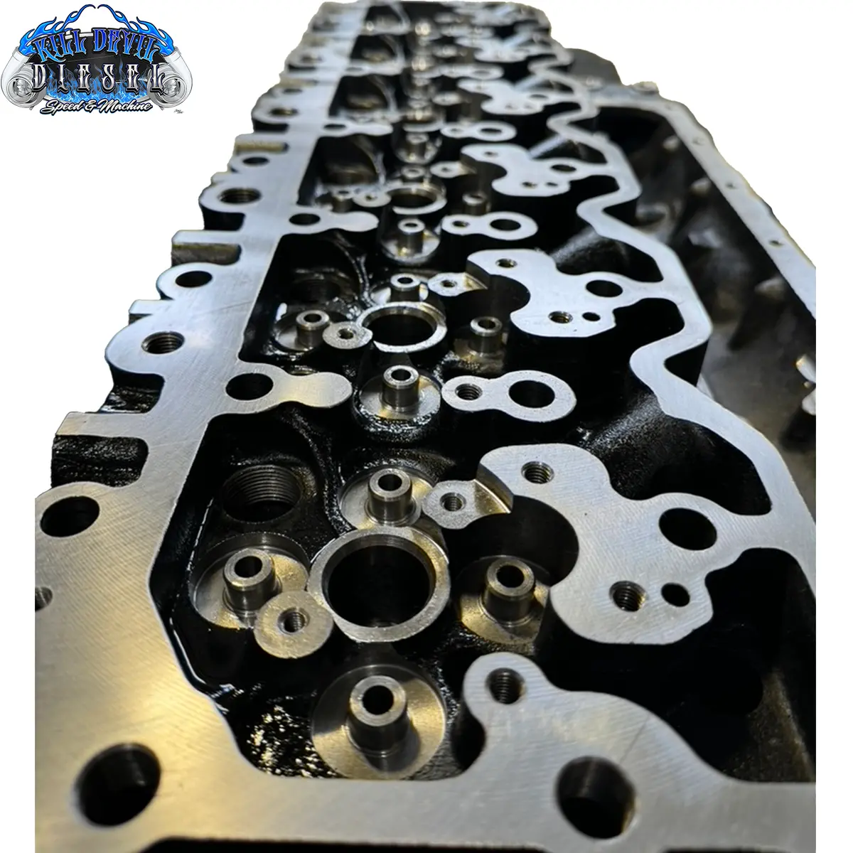 Kdd 5.9 Cummins 24V Cylinder Head 2003-2007.5 Isb 100% New 2