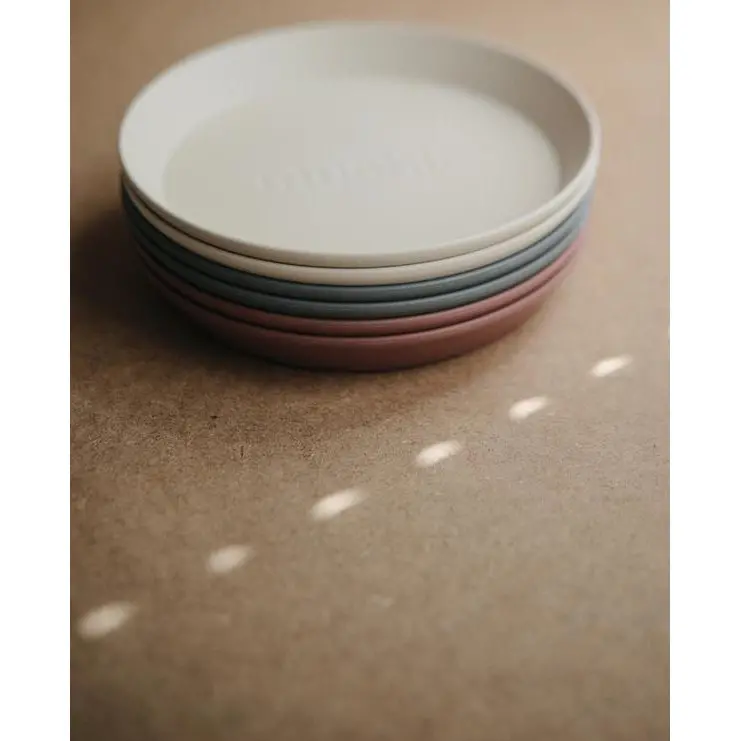Dinner Plate Round - Set Of 2 Various Colours 1