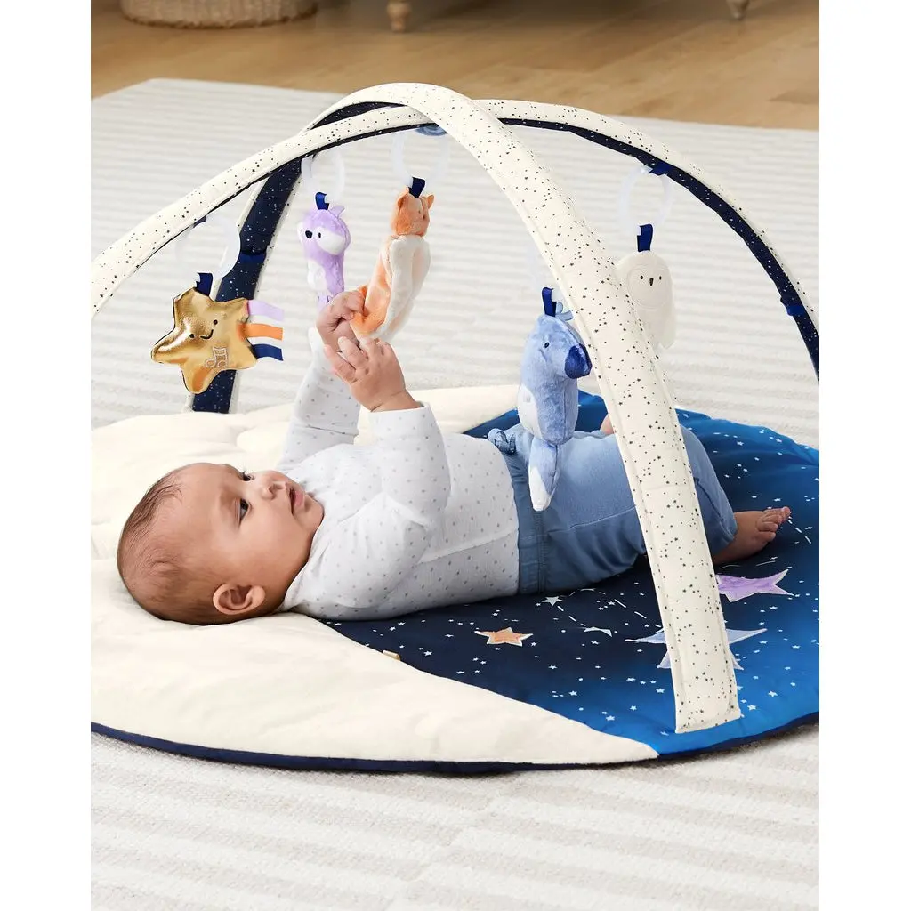Celestial Dreams Activity Gym 1