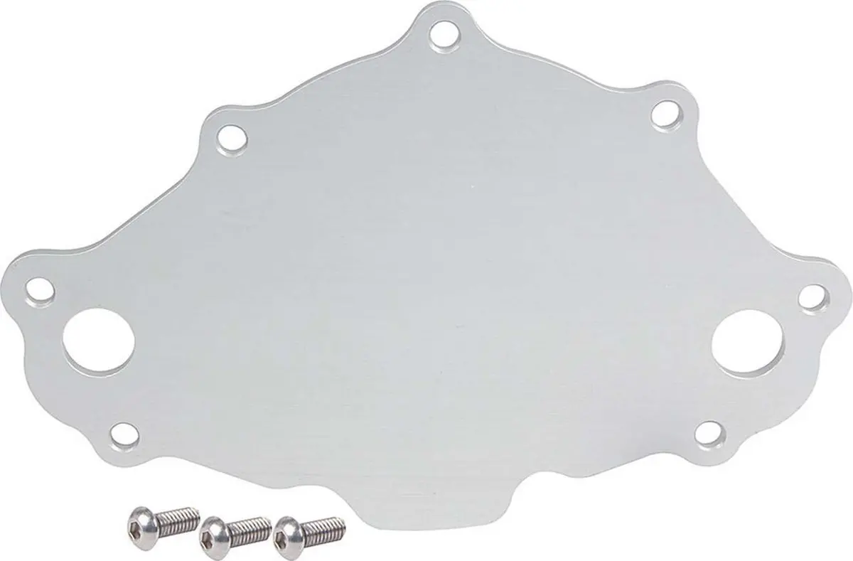 Water Pump Back Plate Early Sbf 1