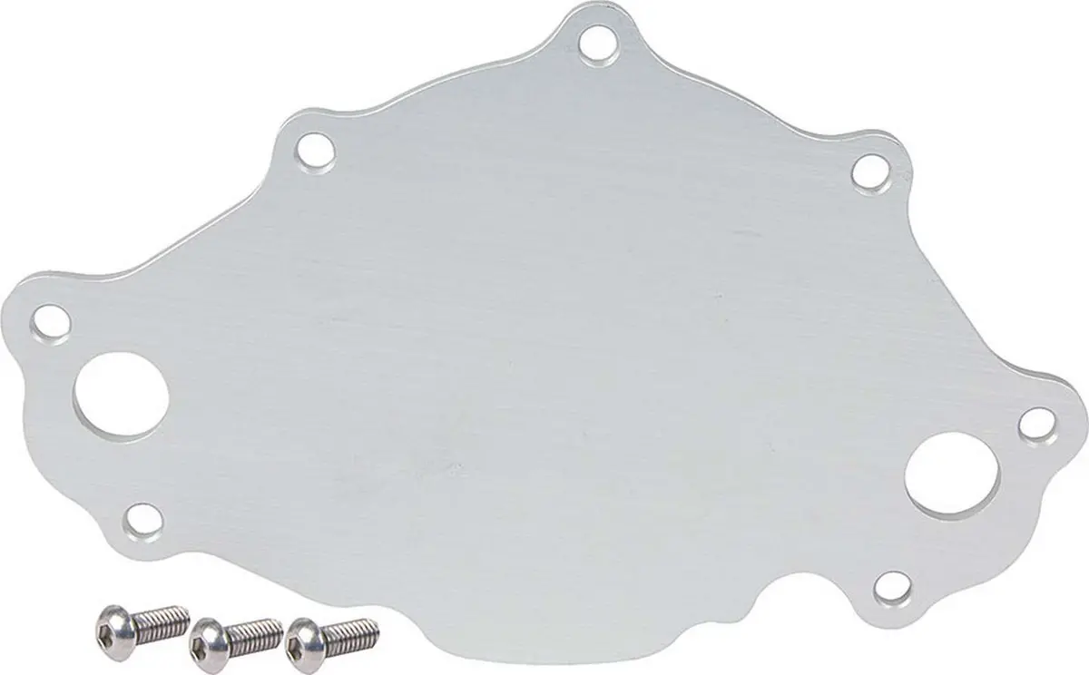 Water Pump Back Plate Late Model Sbf 1