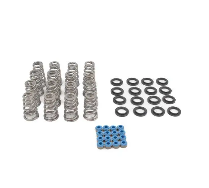 Brian Tooley Racing .650" Lift Conical Valve Spring Kit – Btrsk017 1