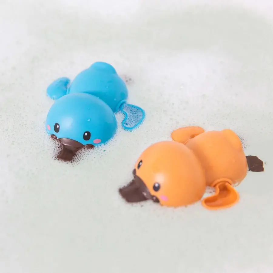 Platypuses Bath Racers 1