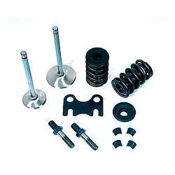 Sbc Parts Kit - (1) Head 2.02/1.60 1.437 Spring 1