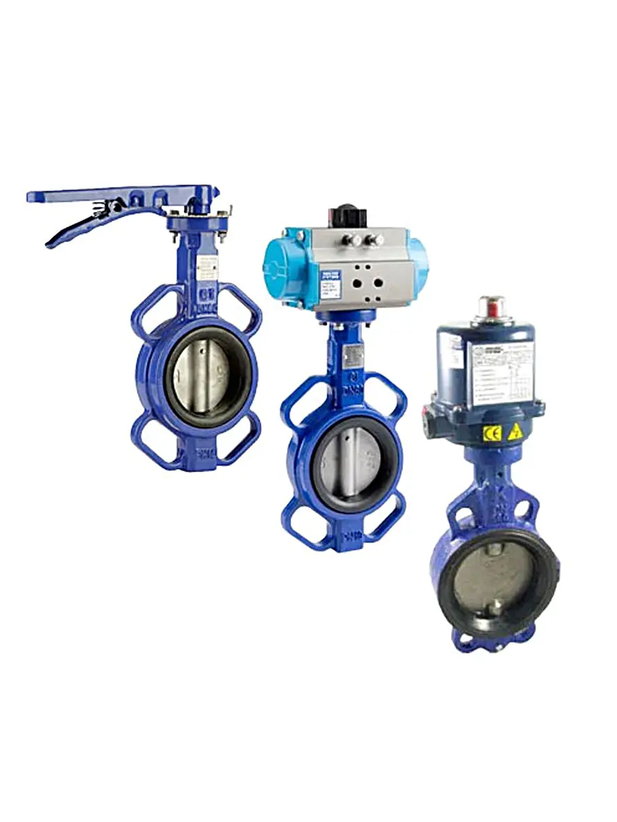 Econo Butterfly Valves T/E Manual, Air & Electric Operated 1
