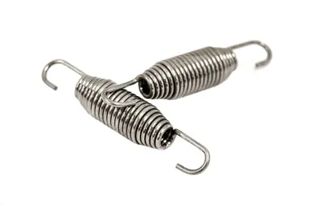 Plm Exhaust Spring - Set Of 2 2