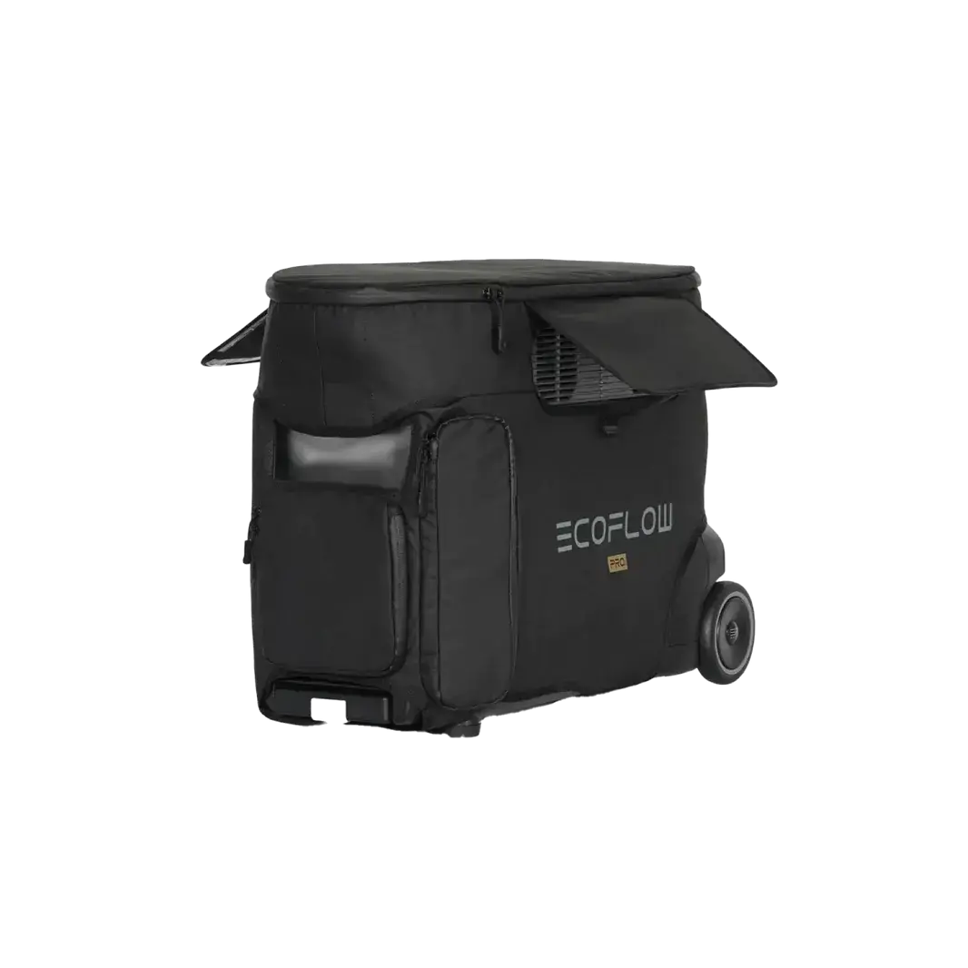 Ecoflow Delta Pro Bag 1
