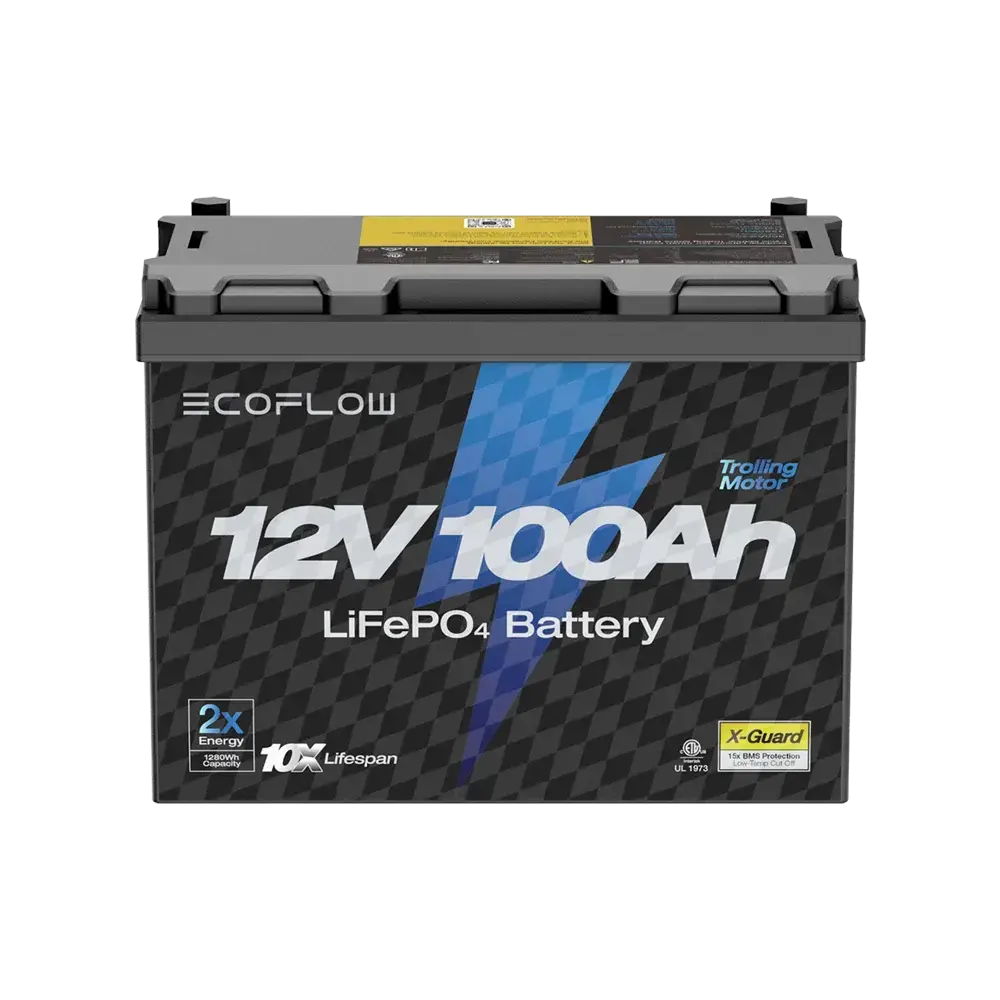 Ecoflow Lithium 12V 100Ah Deep Cycle Lifepo4 Battery 1