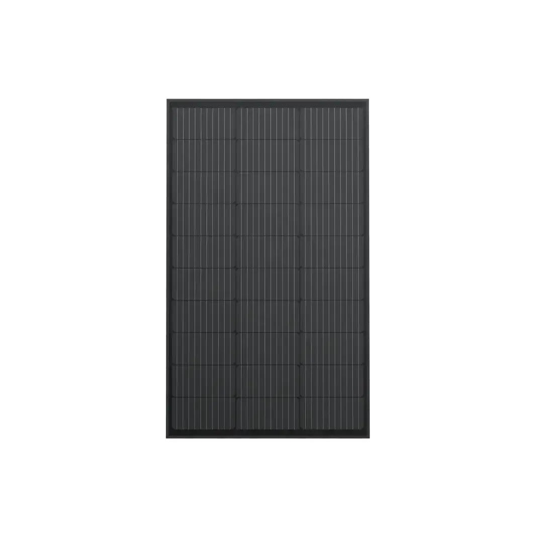 Ecoflow 2 X 100W Rigid Solar Panel + 2*Solar Panel Mounting Feet 1