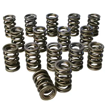 Dual Valve Springs - 1.437 1
