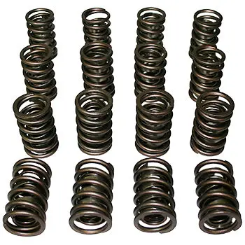 Dual Valve Springs - 1.514 1