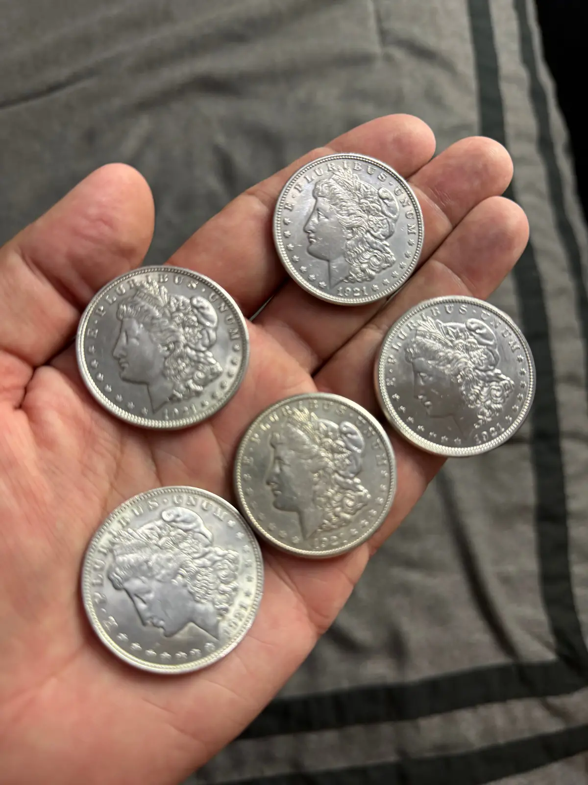 Connie Haden 1921 Morgan Dollar Expanded Shell Set 1