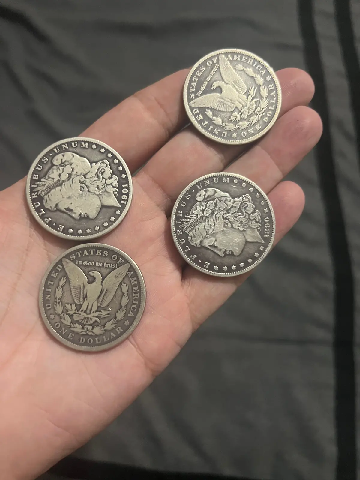 Todd Lassen Morgan Expanded Shell Set 1