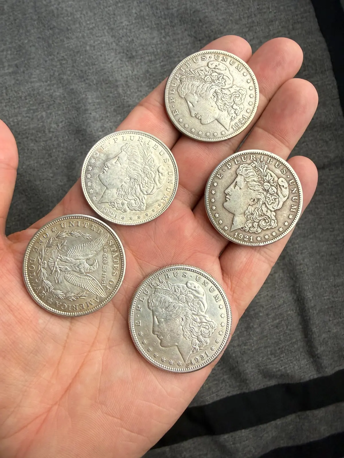 Connie Haden Morgan Shell Set 1