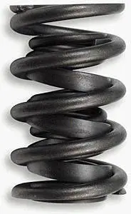 1.550In Valve Springs 1