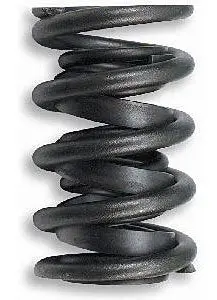 1.440In Valve Springs 1