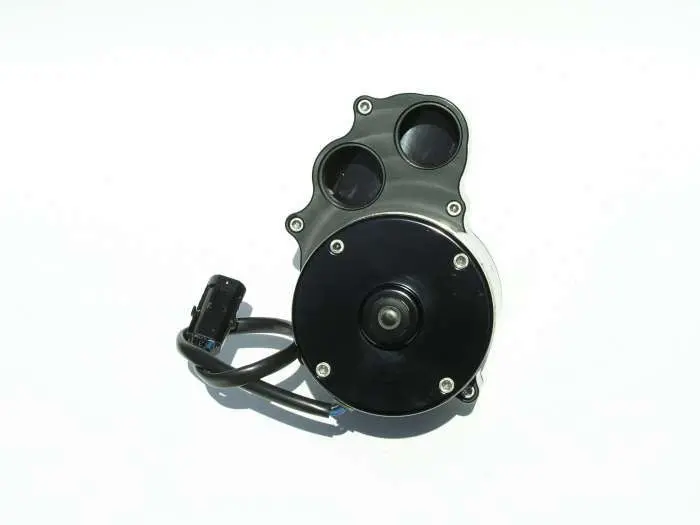 Meziere Dual Outlet Inline Electric Water Pump / Black Finish 1