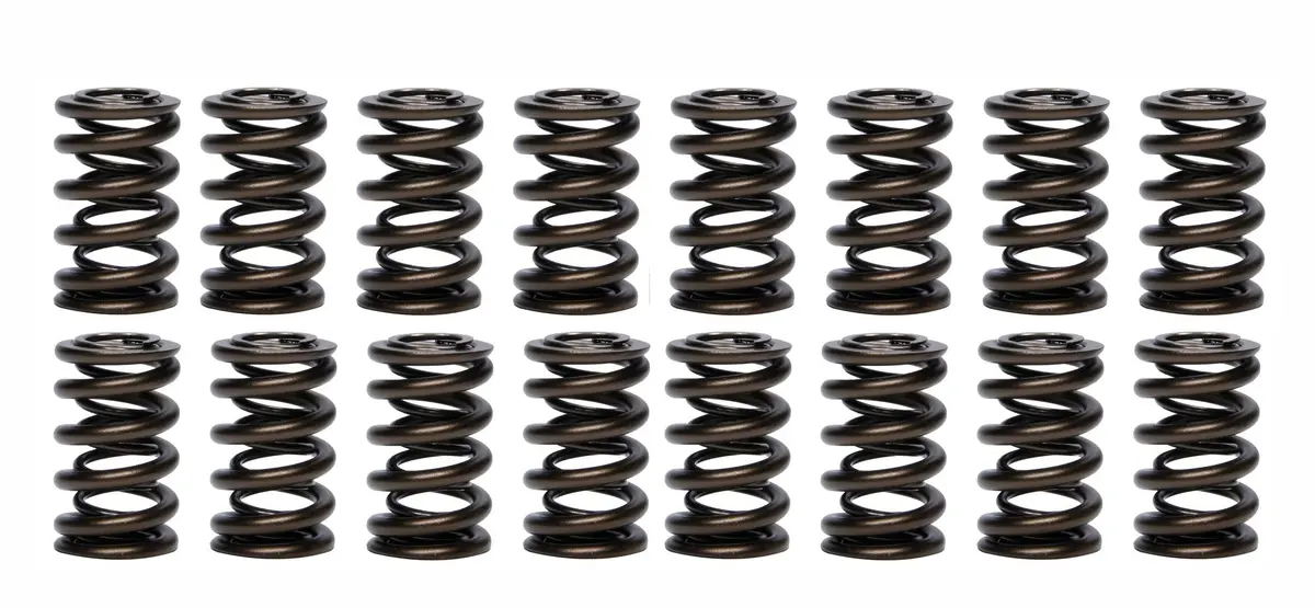 1.260 Dual Valve Springs 1