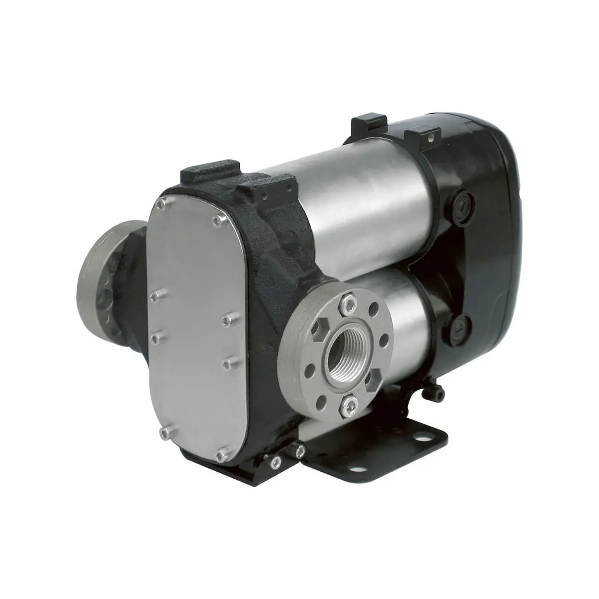 Piusi 12V Dc Bipump - Diesel, 85Lpm Flow Rate 1