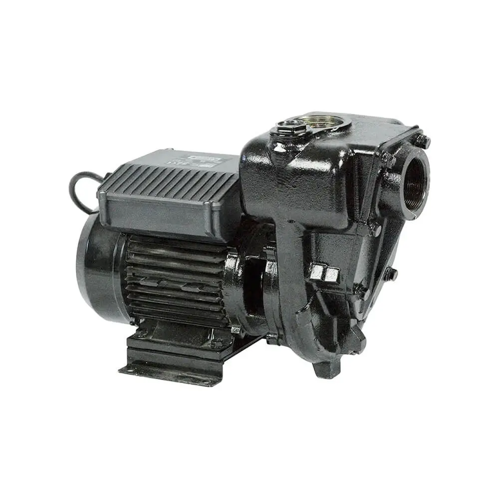 Piusi E300 Pump - 240V Ac, 300Lpm 1