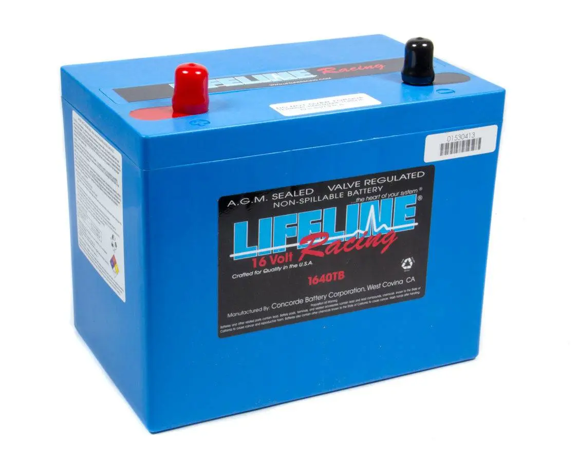16 Volt 2 Post Battery 1