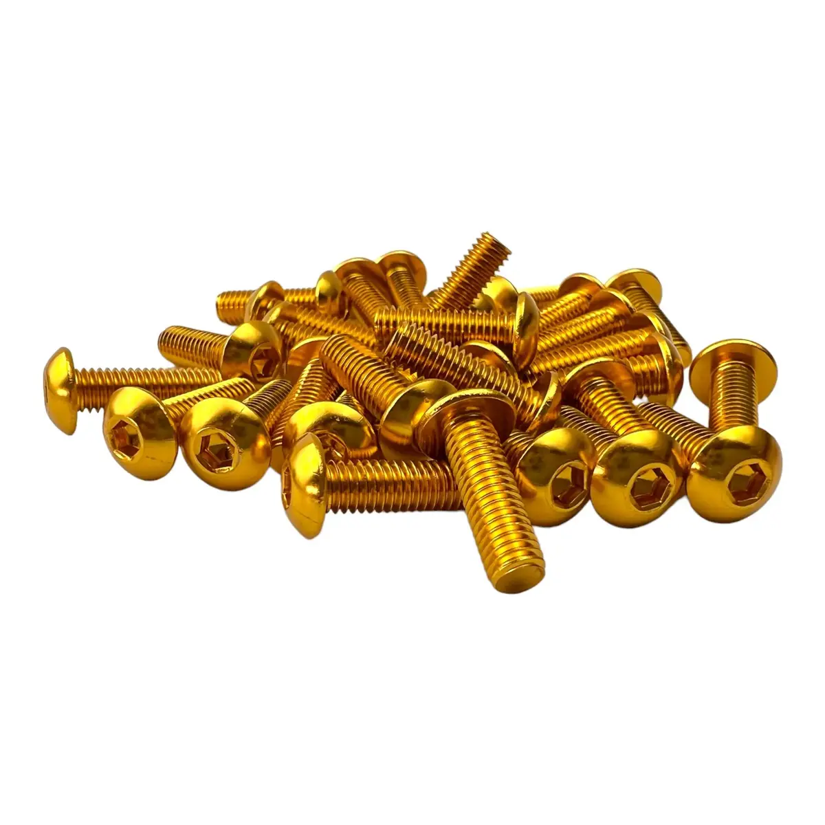 Round Head Hardware Gold 1