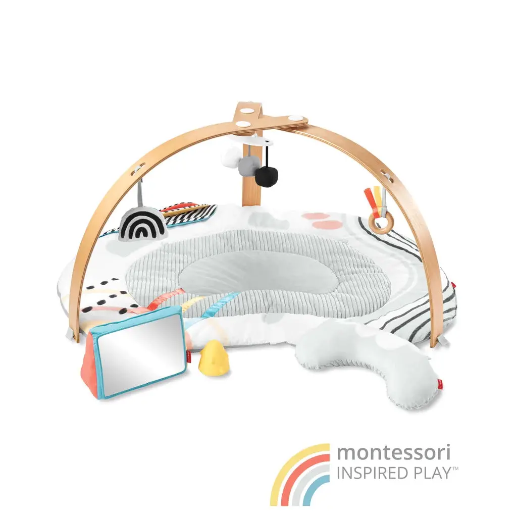 Discoverosity Deluxe Activity Gym 1