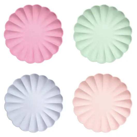 Multicolor Simply Eco Large Plates 1