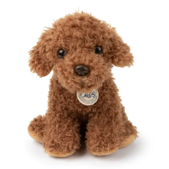 Stacy The Labradoodle In Giftbox 1