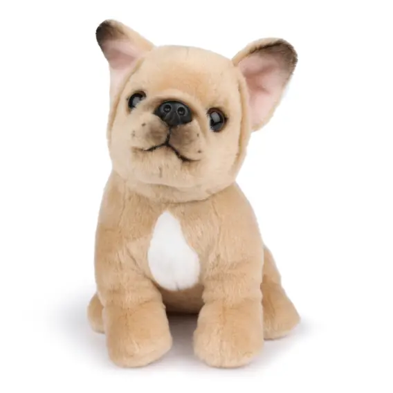 Philippe The French Bulldog 1