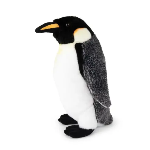 Emperor Penguin 1