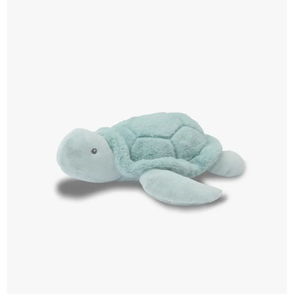Toby The Turtle 1