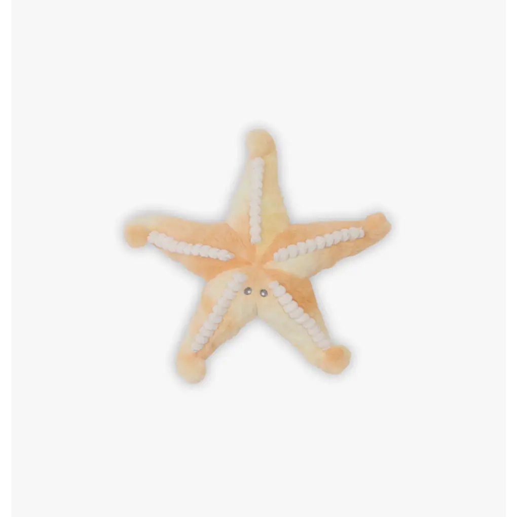 Sunny The Starfish 1