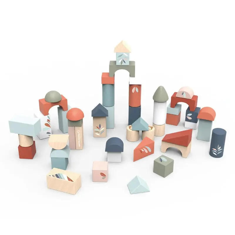 Building Blocks - 50 Pc Set 1