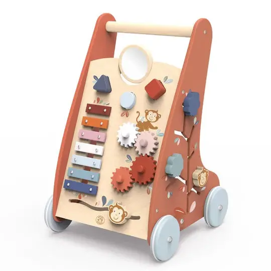 Multi Activity Push Toy - Activity Walker 1