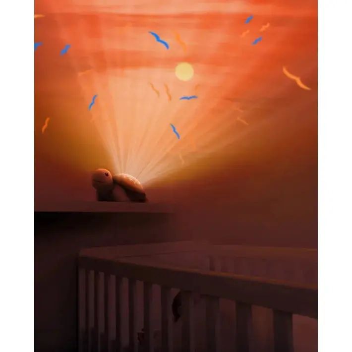 Sunset Projector - Tim 1