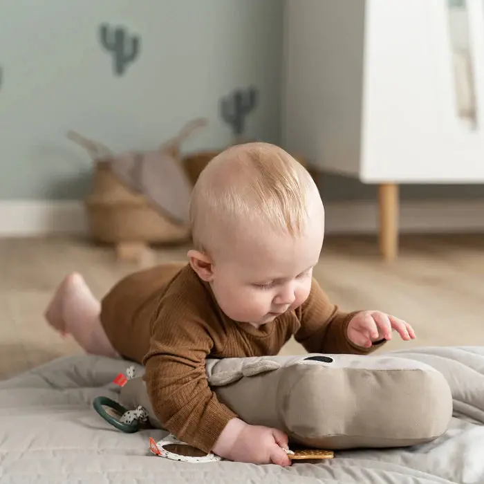 Tummy Time Activity Toy Croco Various Colours 1