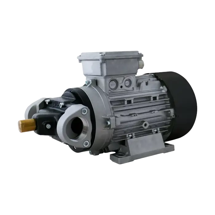 Piusi Viscomat Gerotor High-Flow Electric Oil Transfer Pump 1