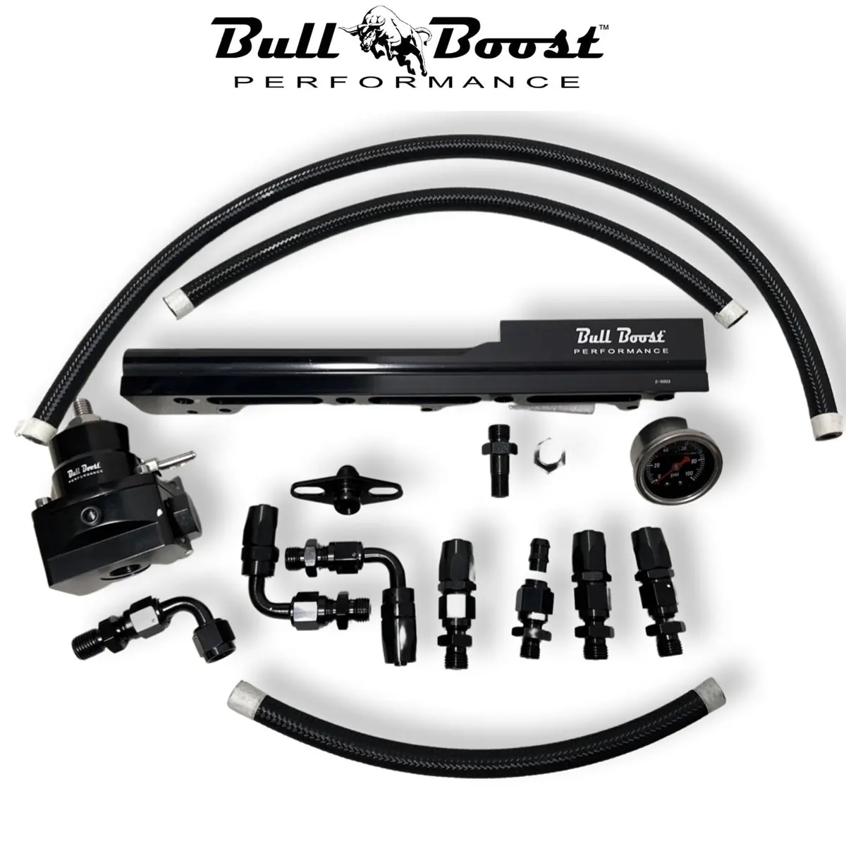 D Series Fuel Rail Civic Sohc Skunk2 Manifold Fpr Gauge Line Hose D15 D16 D17 1