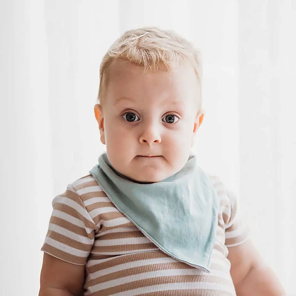 Bandana Organic Dribble Bib Various Colours 1