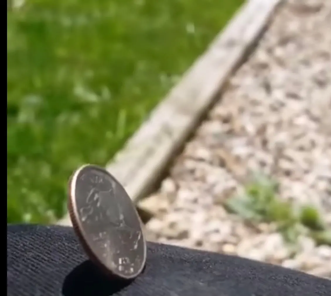 The Psychokinesis Coin 1