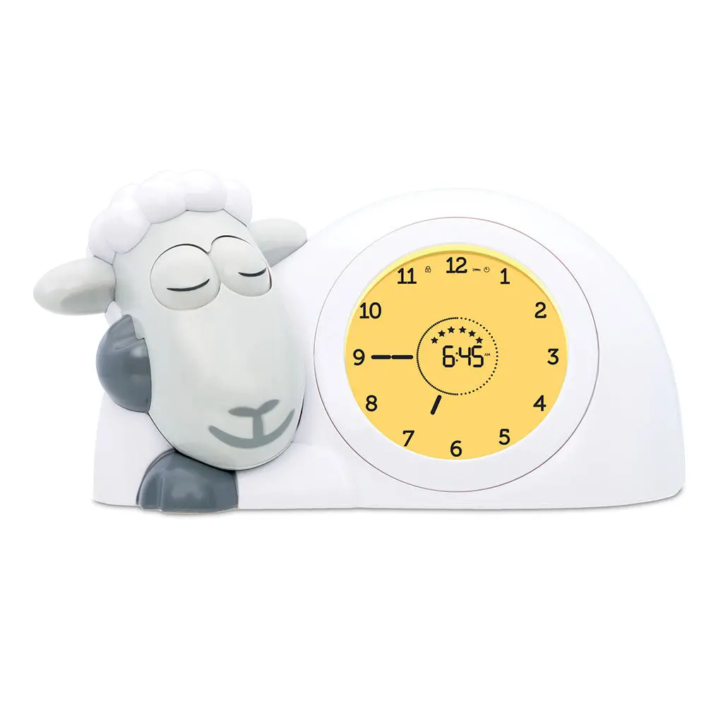 Sleep Trainer Sam 1