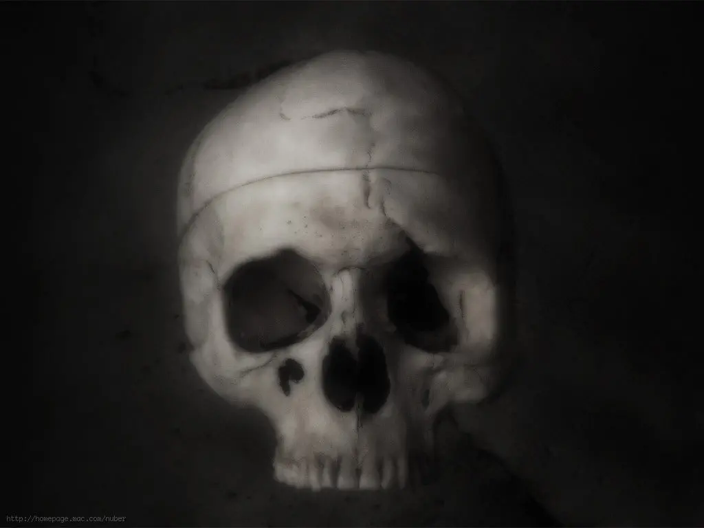 Flesh And Bone By Nathan Kranzo 1