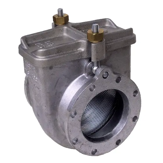 Petro Ils400 - Dn100 Strainer 1