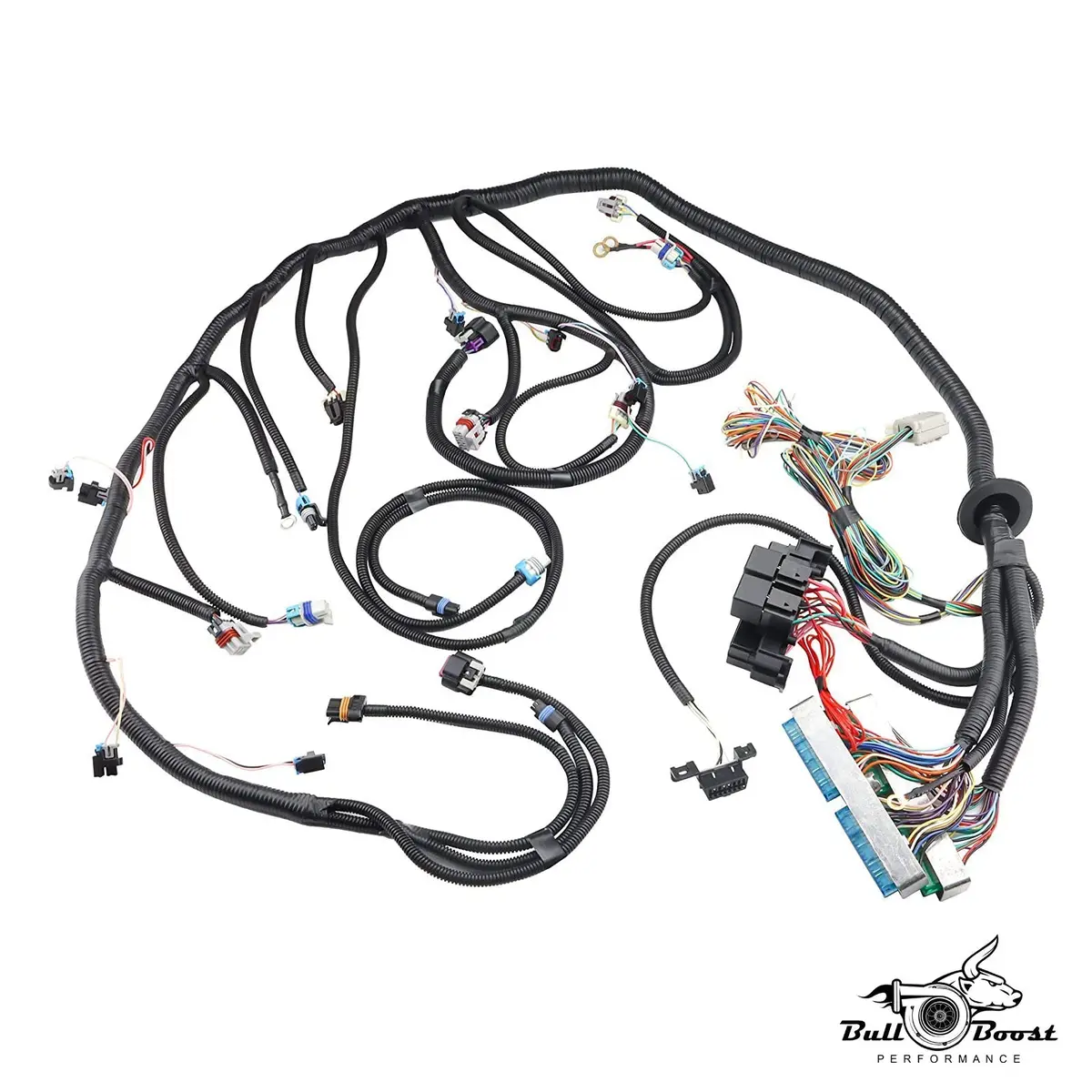 T56 Stand Alone Wire Harness Drive By Wire Ls Ls3 Vortec 03-07 4.8 5.3 6.0 Dbw 1